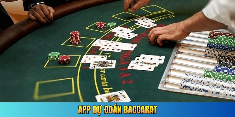 App dự đoán Baccarat