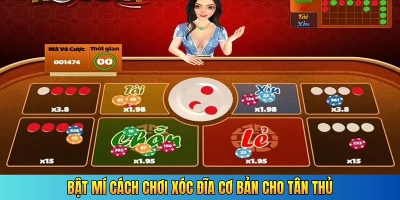 Bật mí cách chơi xóc đĩa cơ bản cho tân thủ