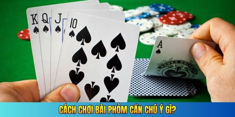 Cách chơi bài phỏm cần chú ý gì?