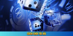 cách chơi Tài Xỉu