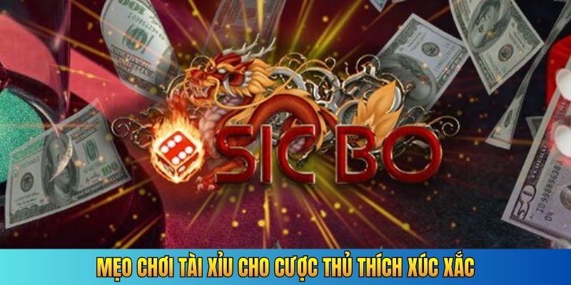 Mẹo chơi tài xỉu cho cược thủ thích xúc xắc
